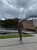 IMG_5014.jpeg