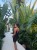 IMG_1324.jpeg