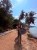 IMG_5720.jpeg