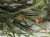IMG_1851.jpeg