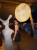 IMG_3457.jpeg