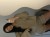 IMG_3460.jpeg